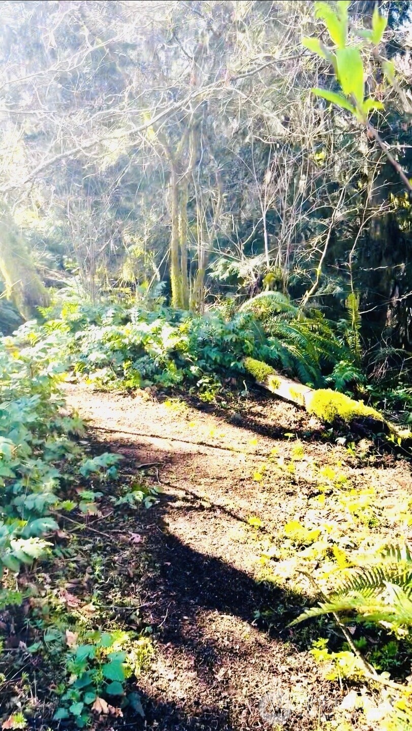 706 Falls Road #35, Randle, WA 98377-9712