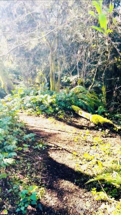 706 Falls Road #35, Randle, WA 98377-9712 - Photo 32