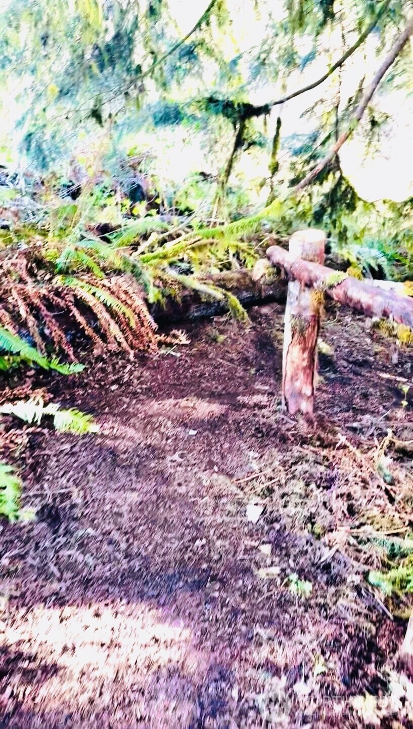 706 Falls Road #35, Randle, WA 98377-9712