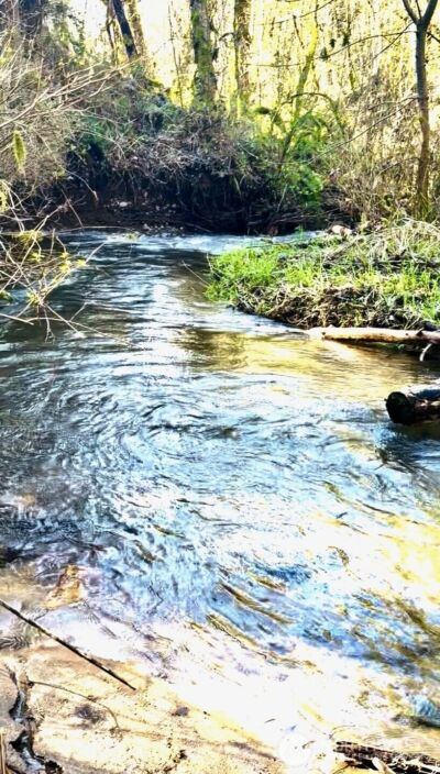 706 Falls Road #35, Randle, WA 98377-9712 - Photo 35