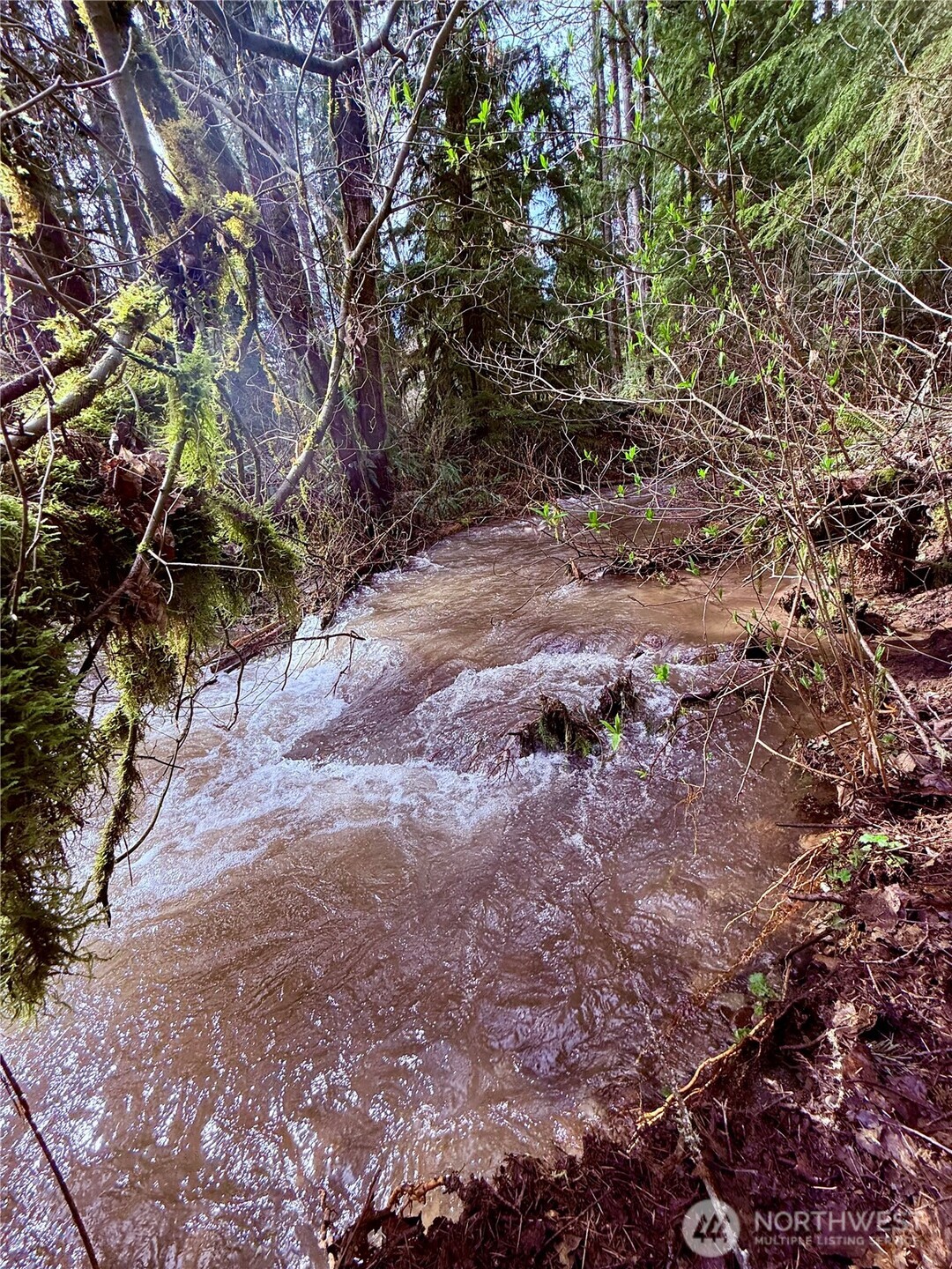 706 Falls Road #35, Randle, WA 98377-9712