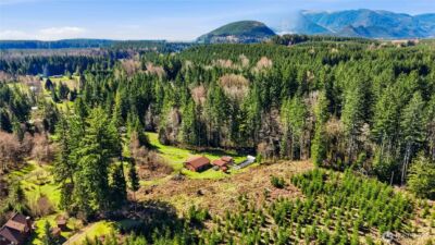 706 Falls Road #35, Randle, WA 98377-9712 - Photo 38