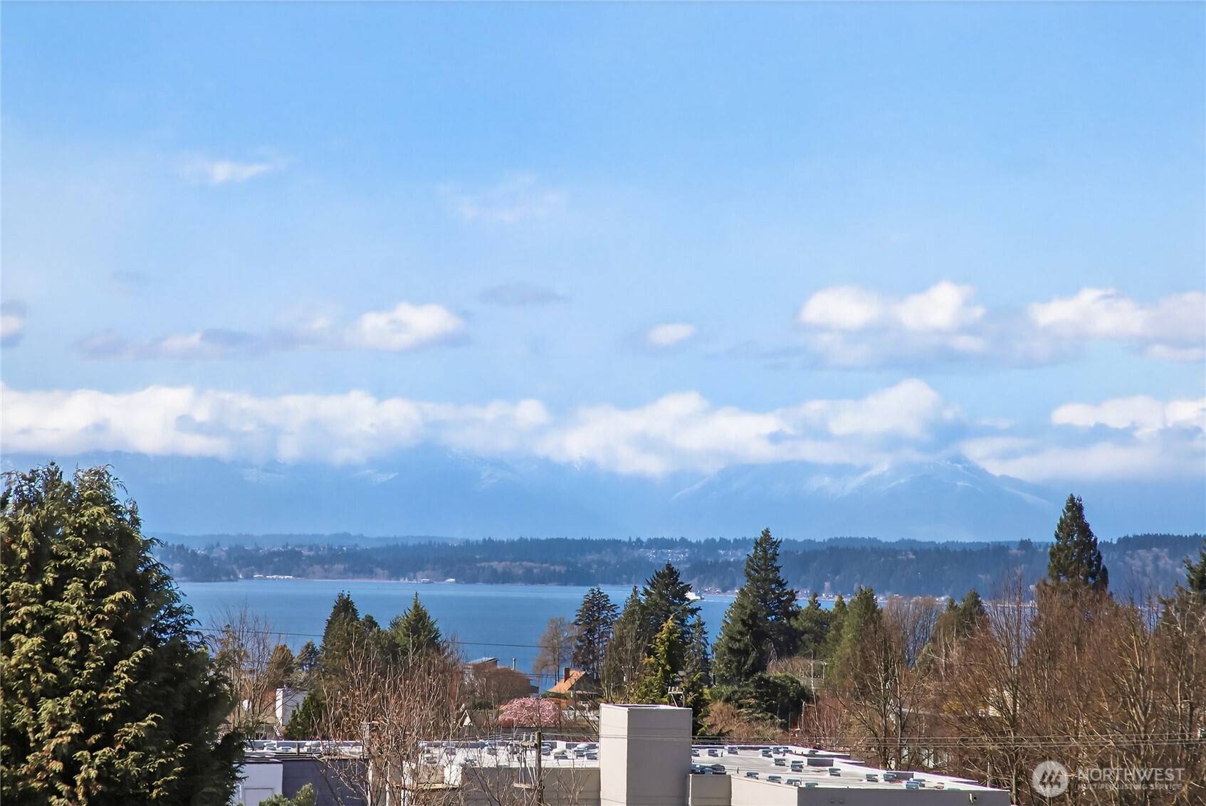 6320 41st Avenue SW #B, Seattle, WA 98136