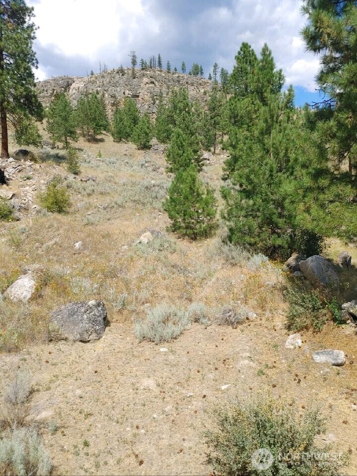 83 E Cayuse Mountain Road , Tonasket, WA 98855