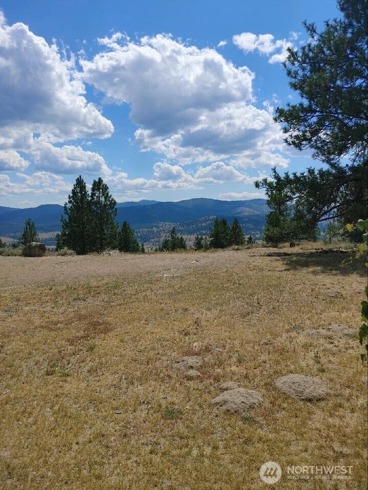 83 E Cayuse Mountain Road , Tonasket, WA 98855