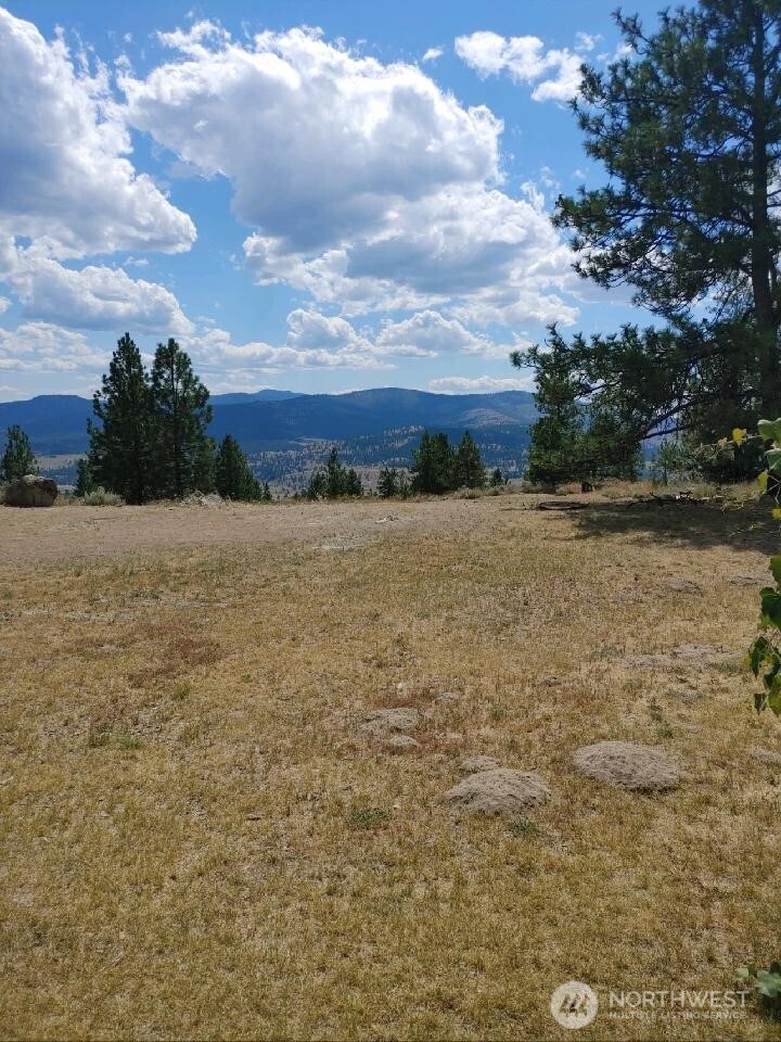 83 E Cayuse Mountain Road , Tonasket, WA 98855