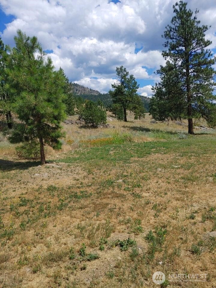 83 E Cayuse Mountain Road , Tonasket, WA 98855