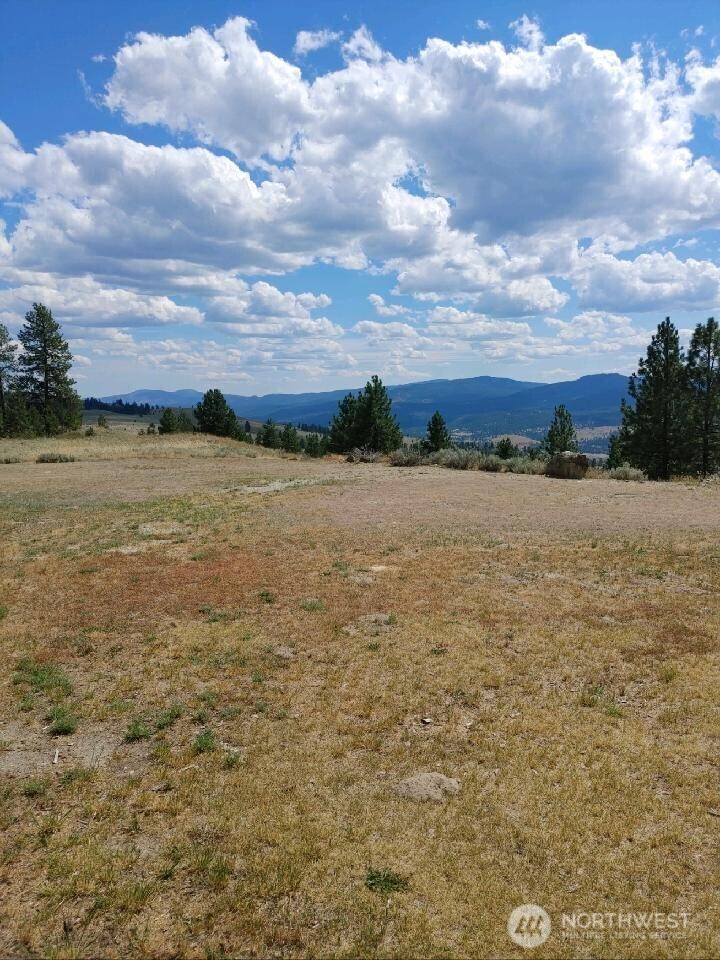 83 E Cayuse Mountain Road , Tonasket, WA 98855