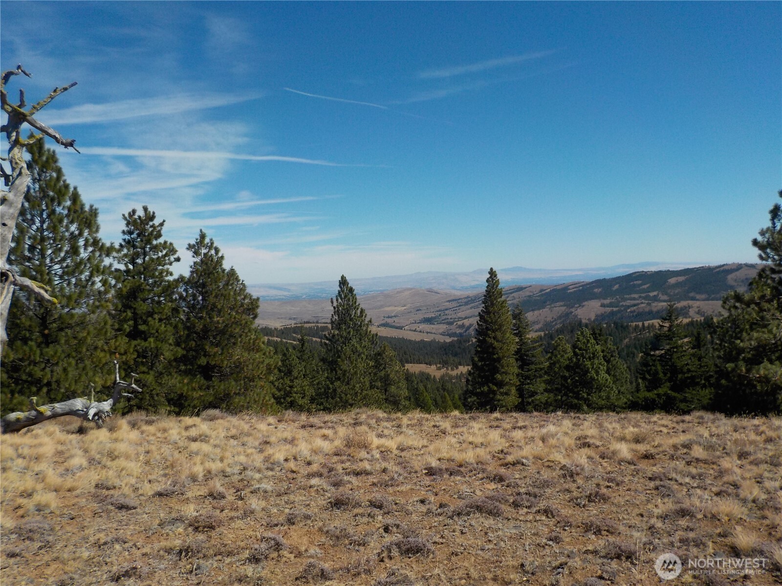 83 E Cayuse Mountain Road , Tonasket, WA 98855