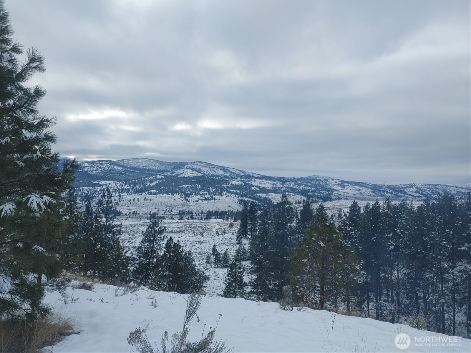 83 E Cayuse Mountain Road , Tonasket, WA 98855