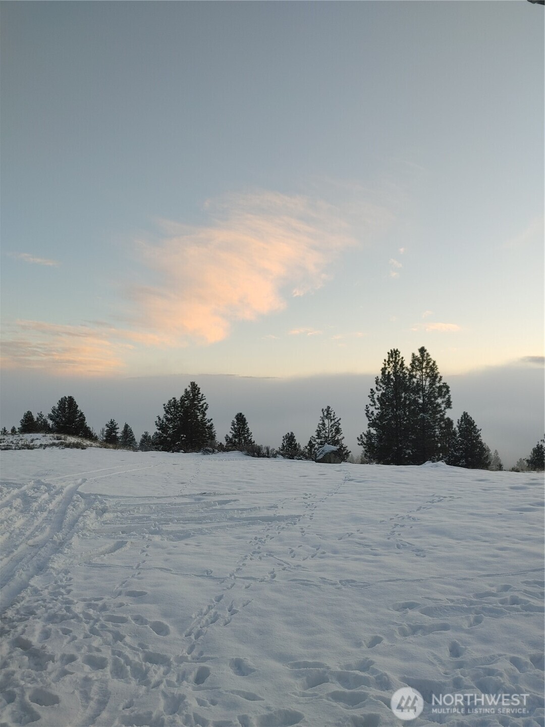 83 E Cayuse Mountain Road , Tonasket, WA 98855