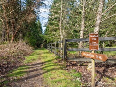 5007 Foxtrail Drive NE, Olympia, WA 98516-2121 - Photo 37