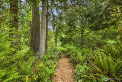 3029 Yankee Girl Circle NE, Bainbridge Island, WA 98110 - Photo 34
