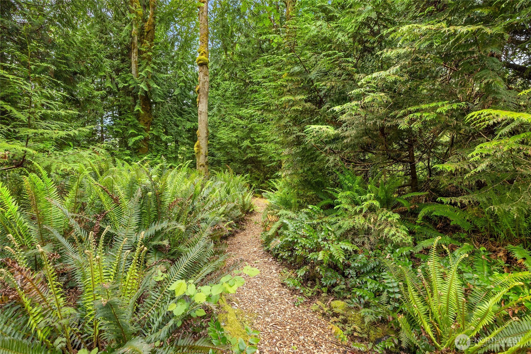 3029 Yankee Girl Circle NE, Bainbridge Island, WA 98110