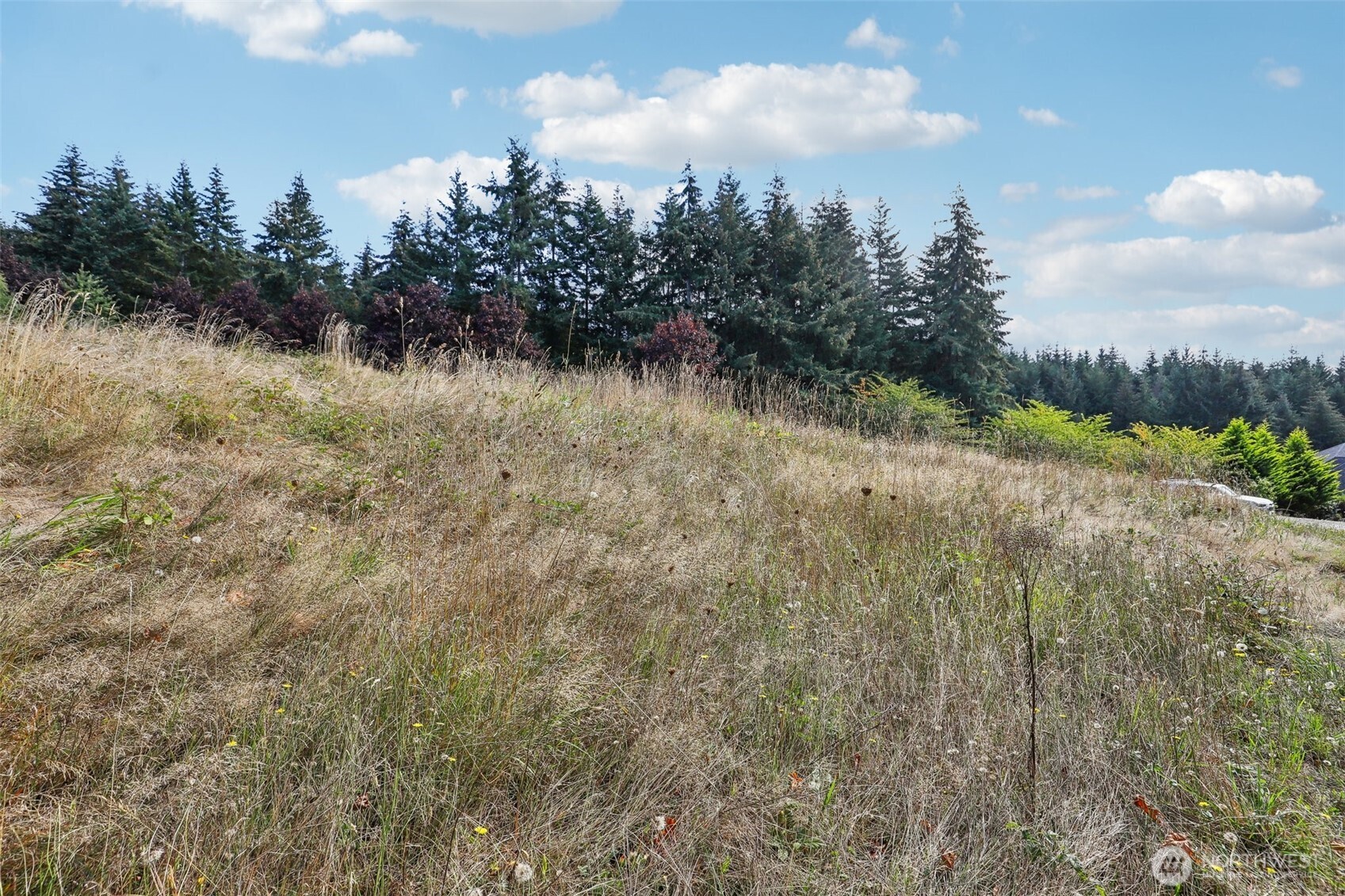 168 Upland Drive , Woodland, WA 98674