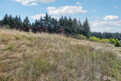 168 Upland Drive , Woodland, WA 98674 - Photo 4