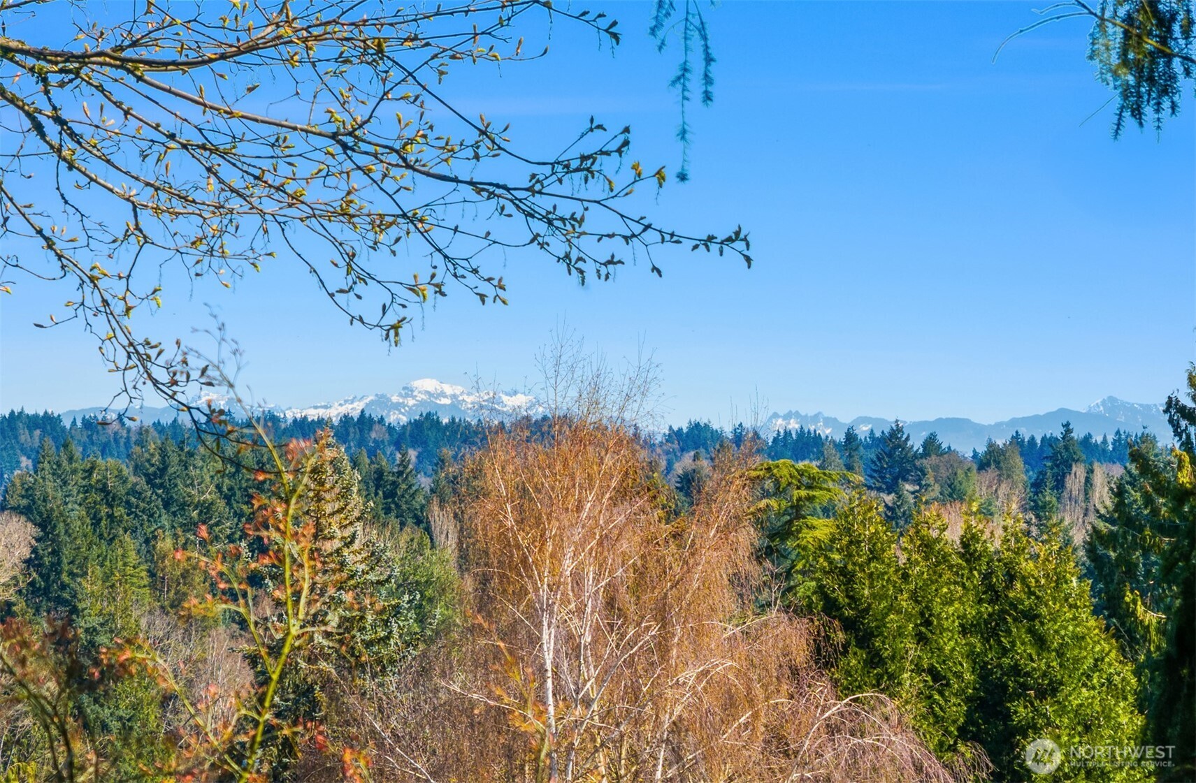 11544 24th Avenue NE, Seattle, WA 98125