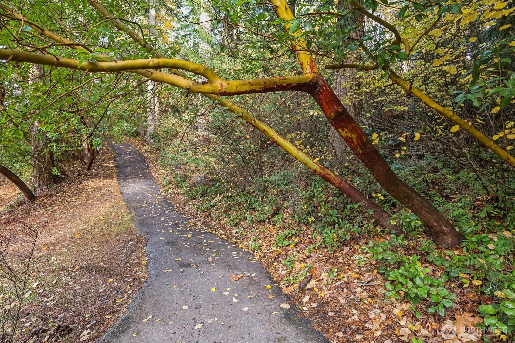 18410 Rampart Drive SE, Yelm, WA 98597