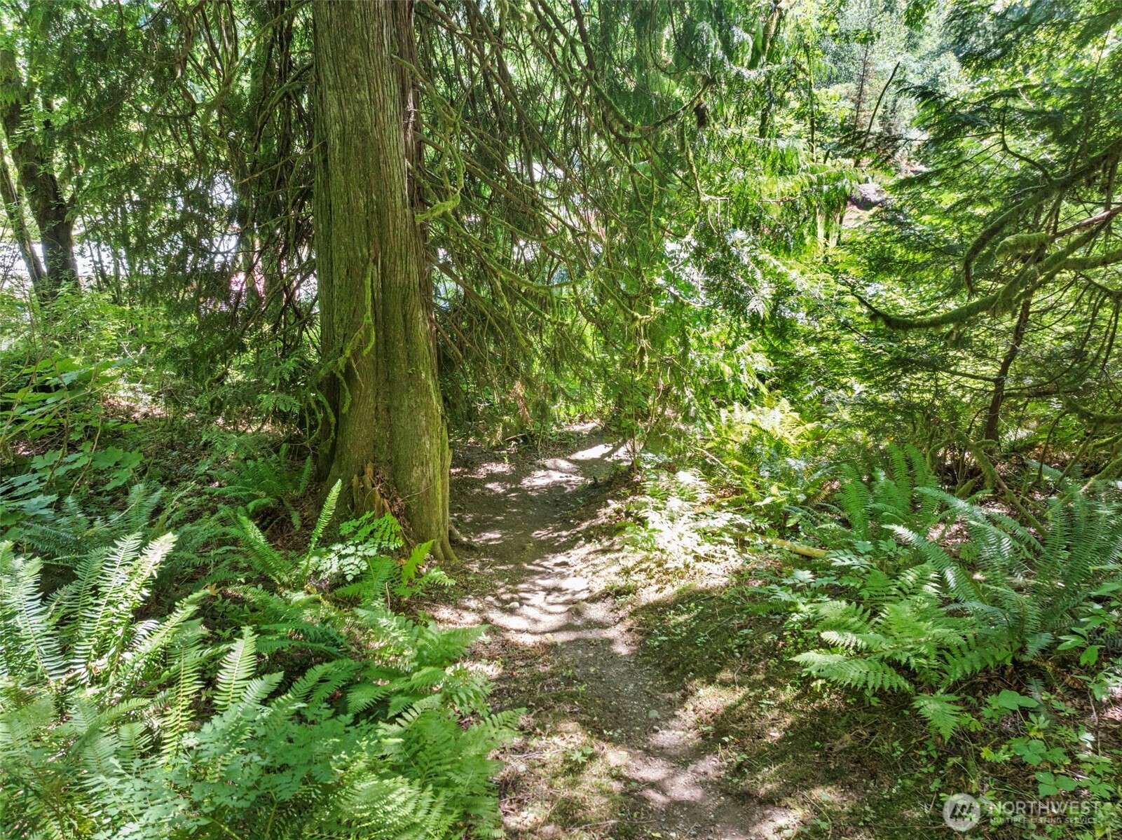 17401 Renton Maple Valley Road SE, Maple Valley, WA 98038