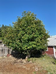 200 E Arizona Avenue , Roslyn, WA 98941