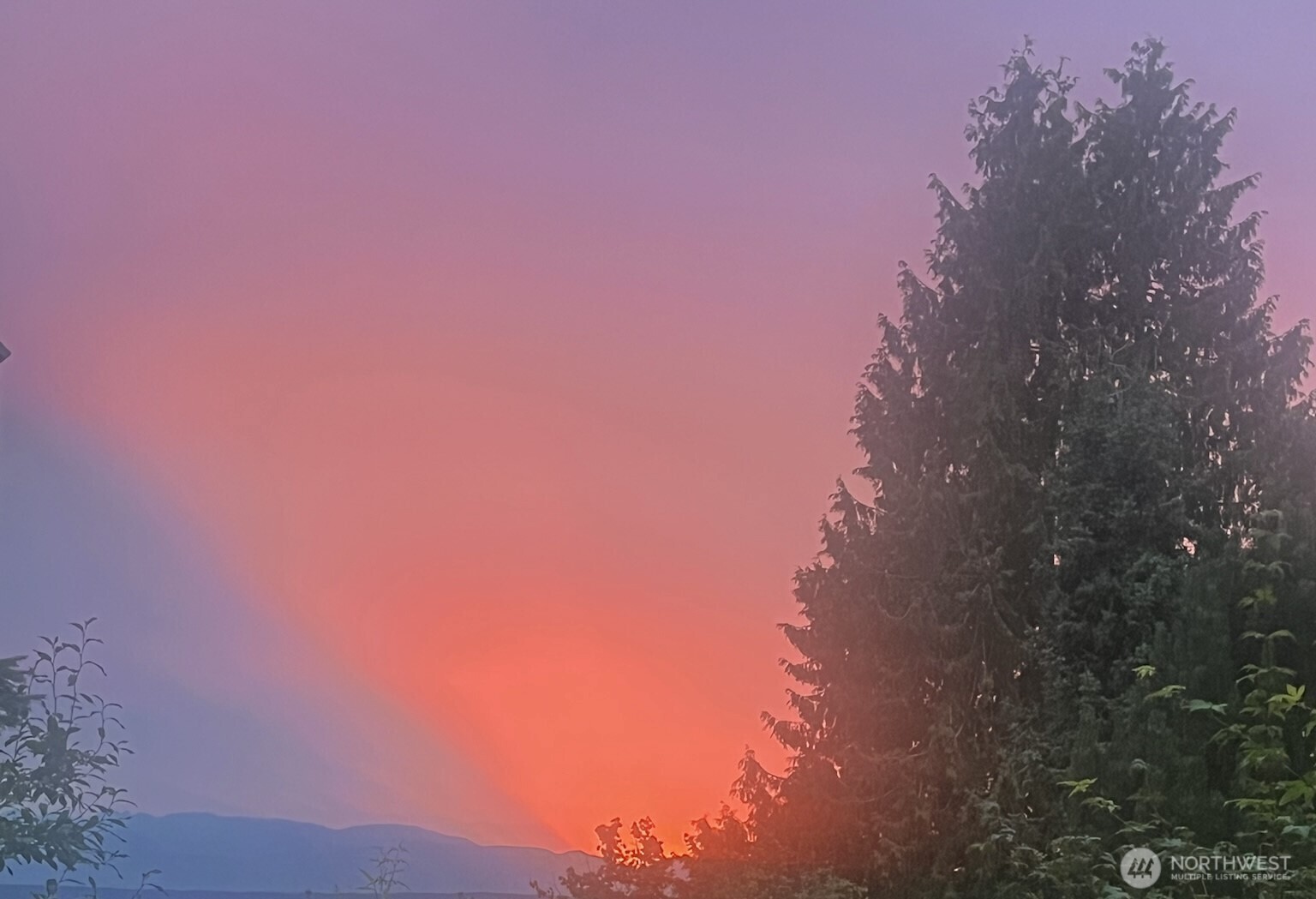 1910 NW 97th Street , Seattle, WA 98117