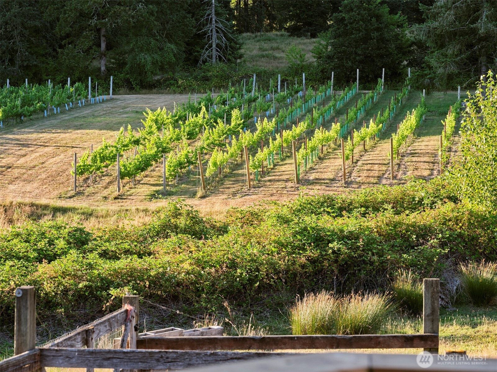 11700 NE 279th Street , Battle Ground, WA 98604