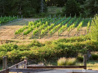 11700 NE 279th Street , Battle Ground, WA 98604 - Photo 22