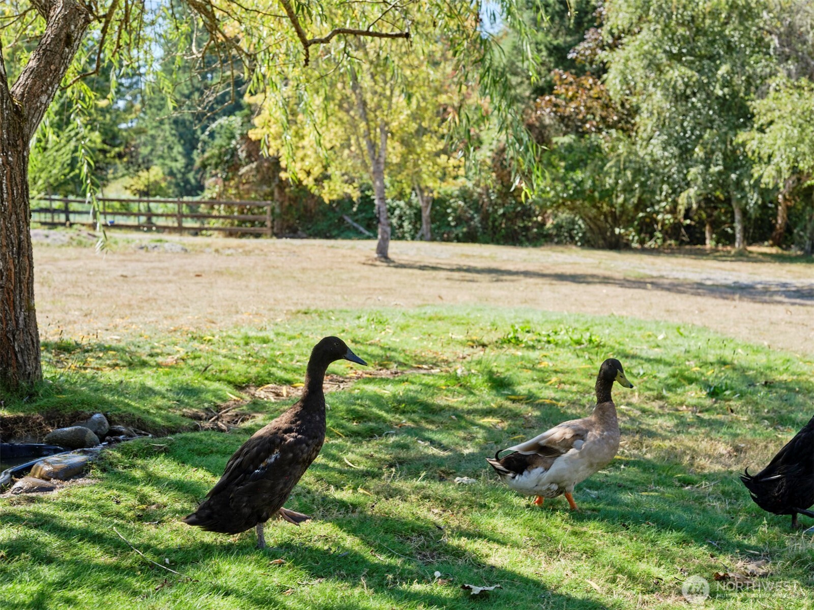 11700 NE 279th Street , Battle Ground, WA 98604