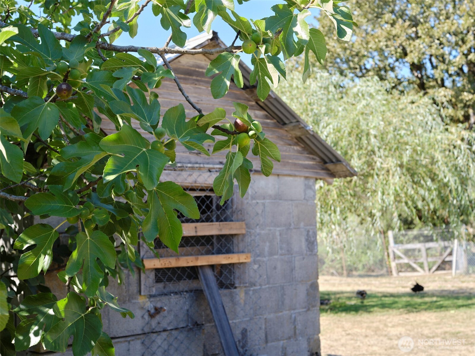 11700 NE 279th Street , Battle Ground, WA 98604