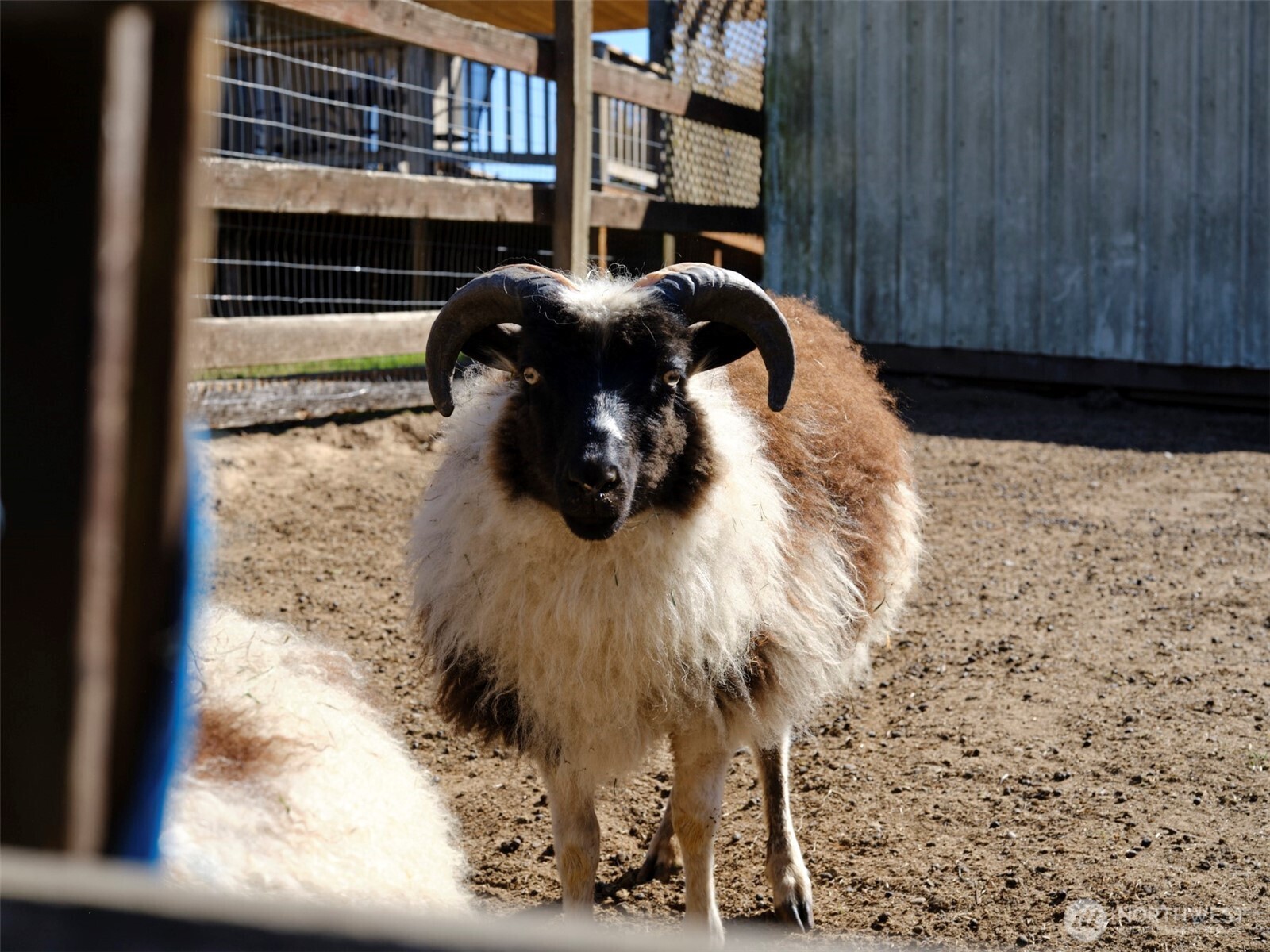 11700 NE 279th Street , Battle Ground, WA 98604