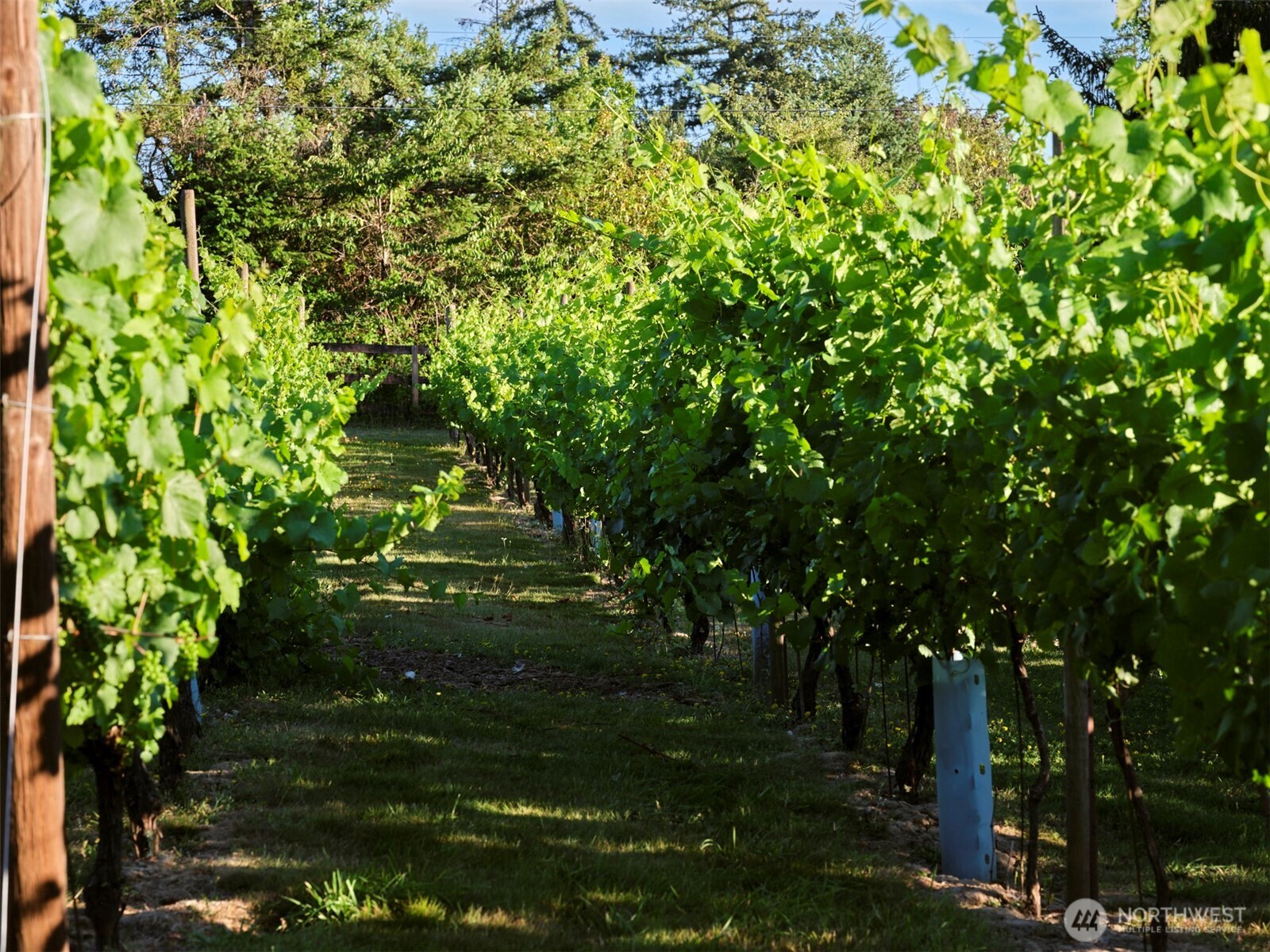 11700 NE 279th Street , Battle Ground, WA 98604