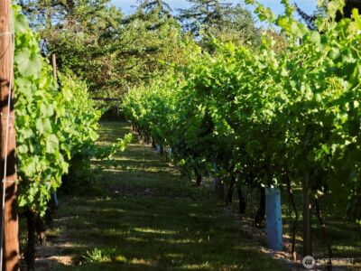 11700 NE 279th Street , Battle Ground, WA 98604 - Photo 30