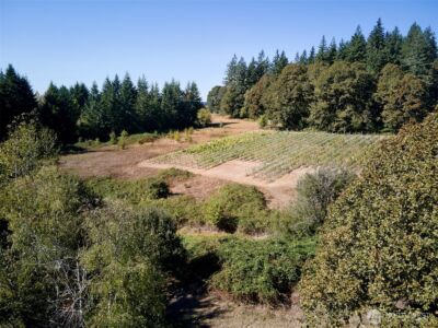 11700 NE 279th Street , Battle Ground, WA 98604 - Photo 32