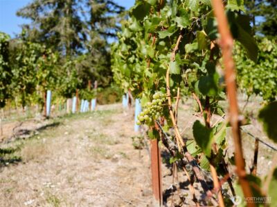 11700 NE 279th Street , Battle Ground, WA 98604 - Photo 34