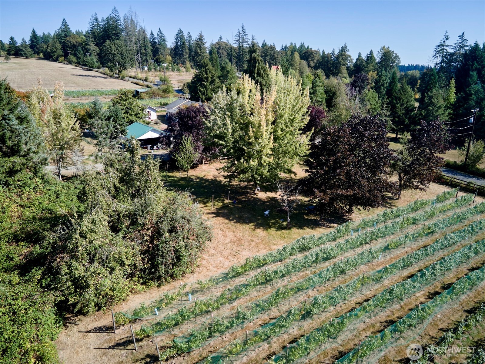 11700 NE 279th Street , Battle Ground, WA 98604