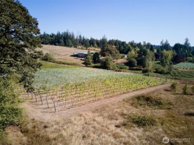 11700 NE 279th Street , Battle Ground, WA 98604 - Photo 39