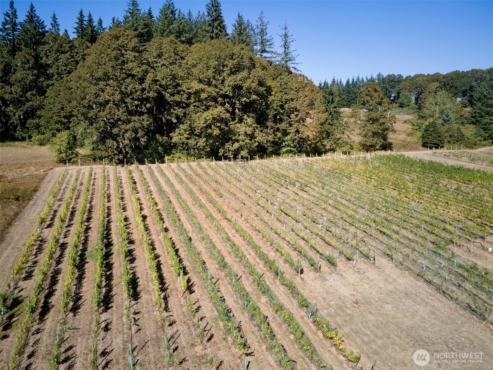 11700 NE 279th Street , Battle Ground, WA 98604