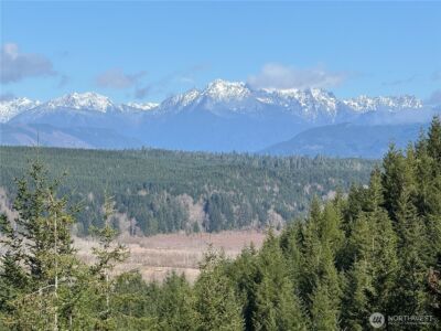 151 E Amy Court , Shelton, WA 98584-6667