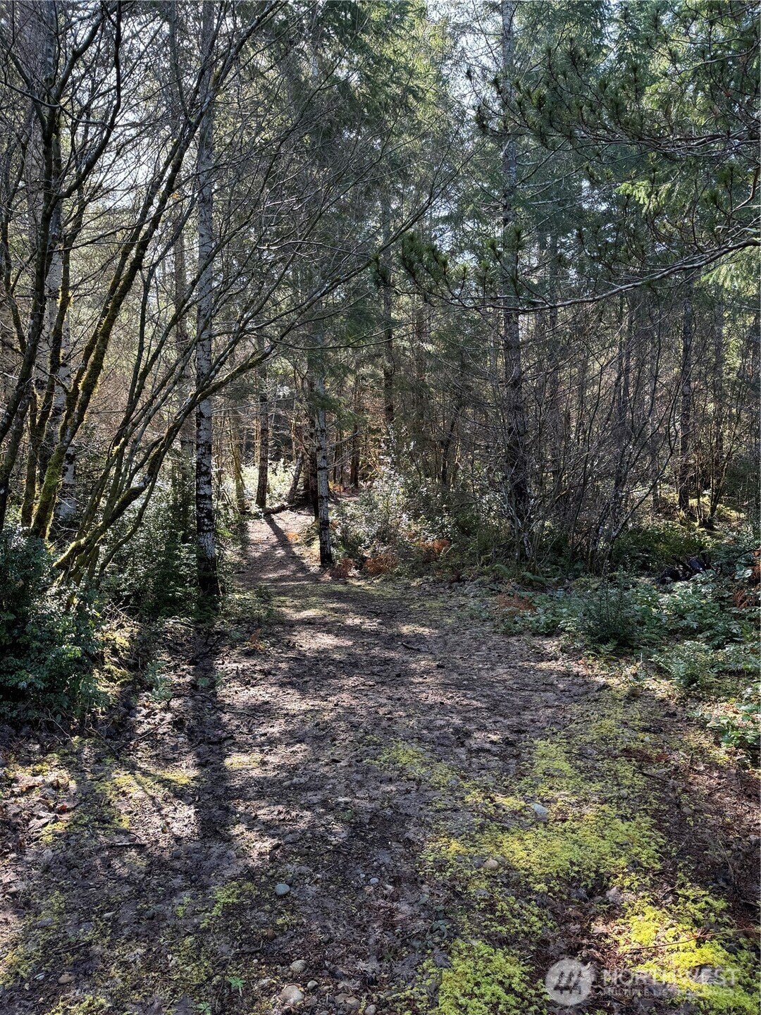 151 E Amy Court , Shelton, WA 98584-6667