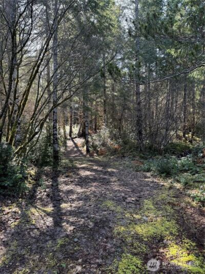 151 E Amy Court , Shelton, WA 98584-6667 - Photo 11