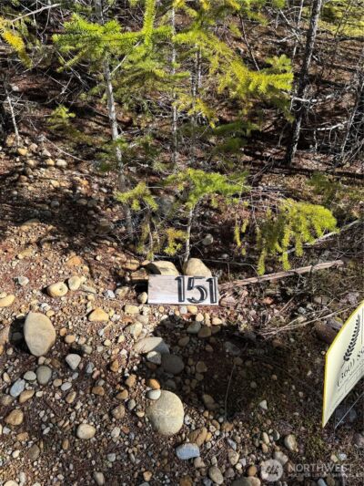 151 E Amy Court , Shelton, WA 98584-6667 - Photo 12