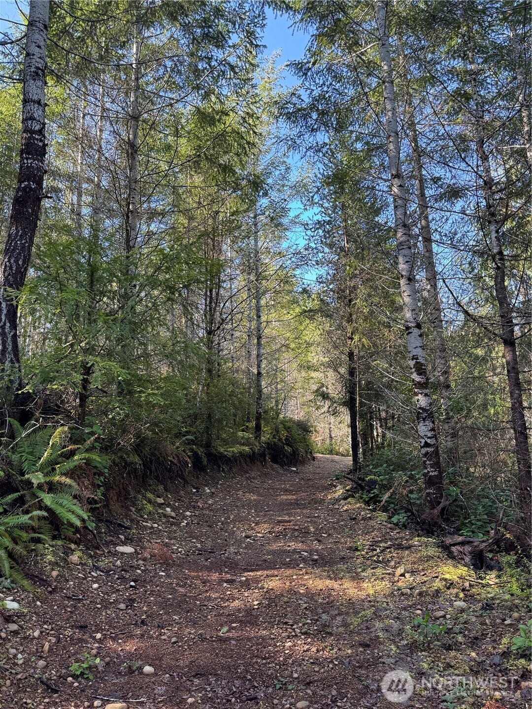 151 E Amy Court , Shelton, WA 98584-6667