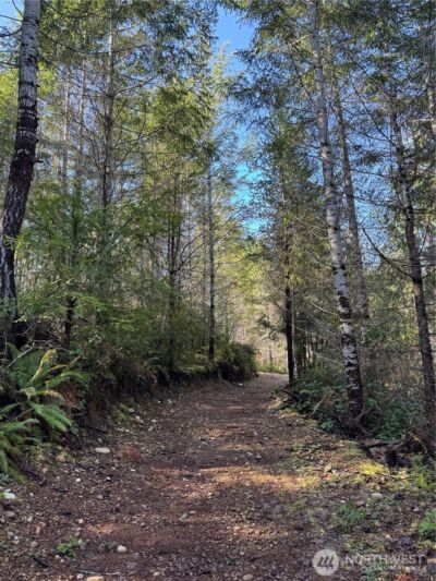 151 E Amy Court , Shelton, WA 98584-6667 - Photo 3