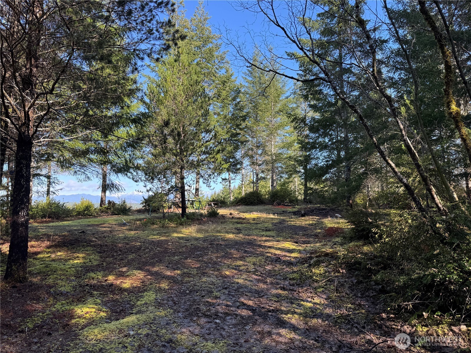 151 E Amy Court , Shelton, WA 98584-6667