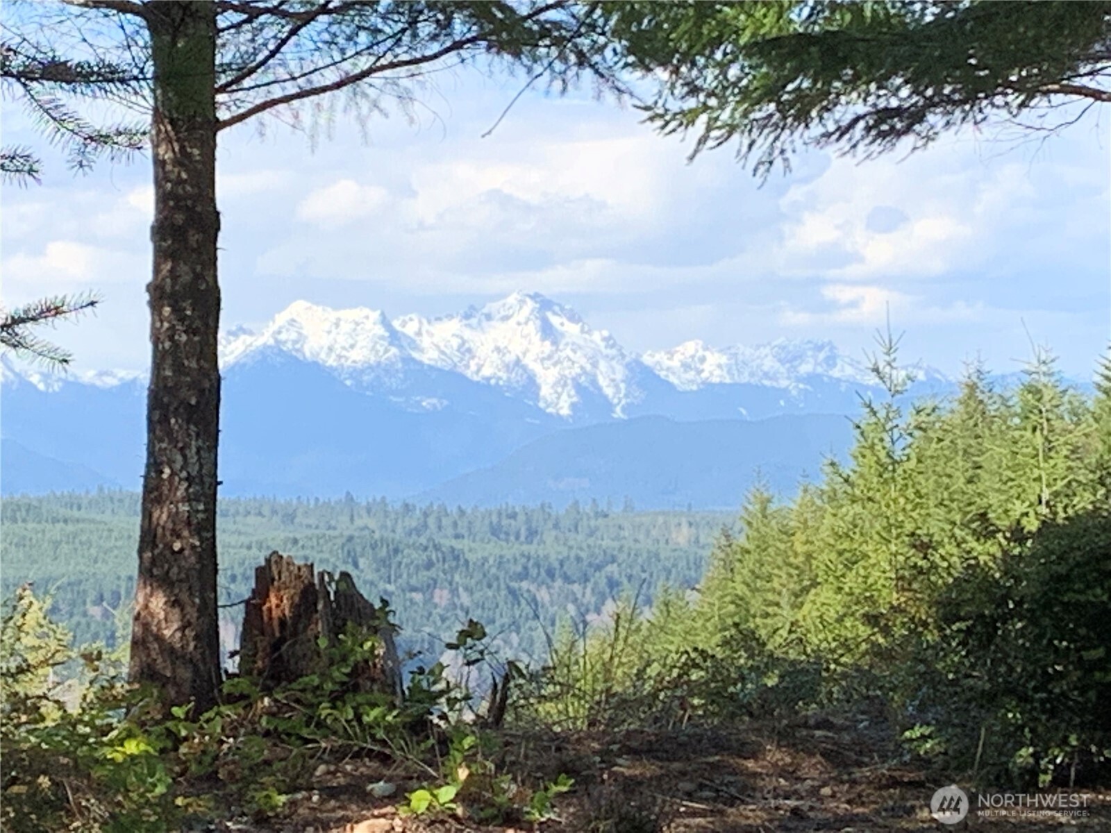 151 E Amy Court , Shelton, WA 98584-6667