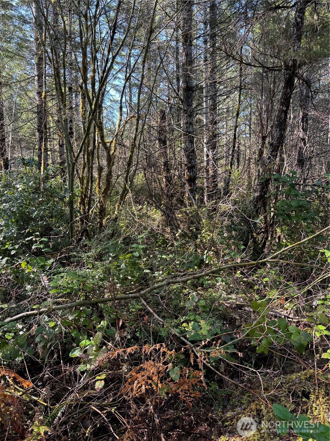 151 E Amy Court , Shelton, WA 98584-6667