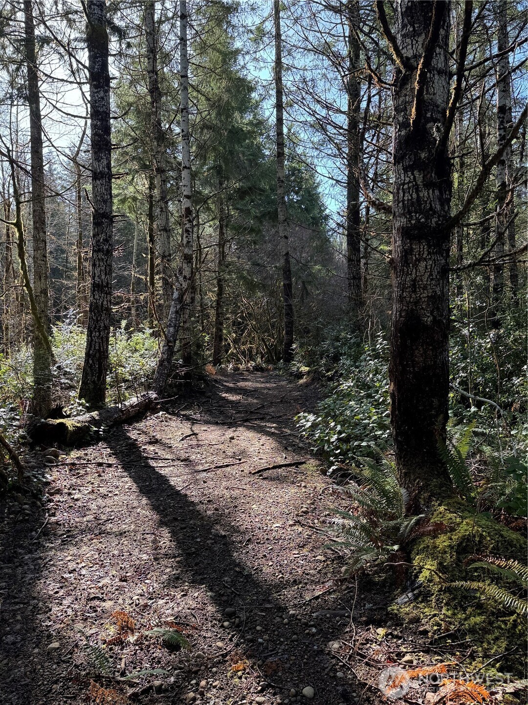 151 E Amy Court , Shelton, WA 98584-6667