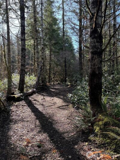 151 E Amy Court , Shelton, WA 98584-6667 - Photo 10