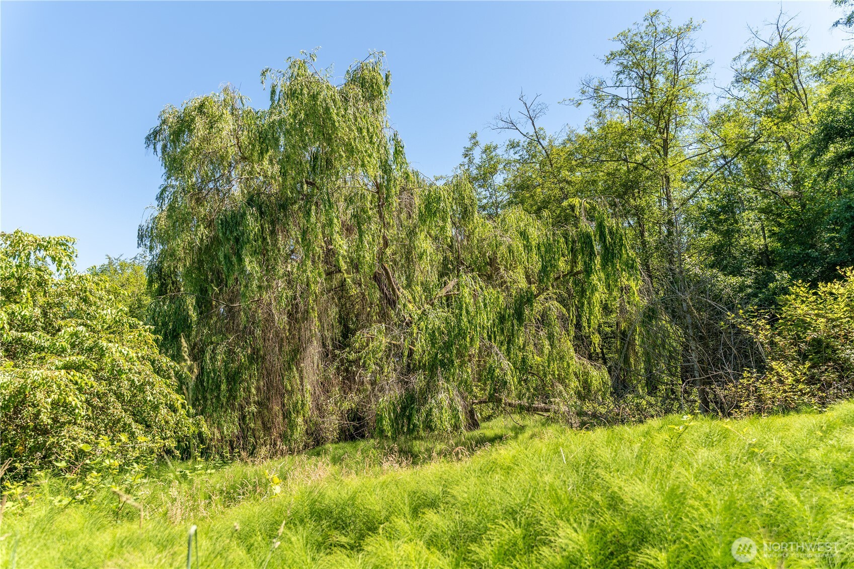 0 Heggeness Road , Clinton, WA 98236