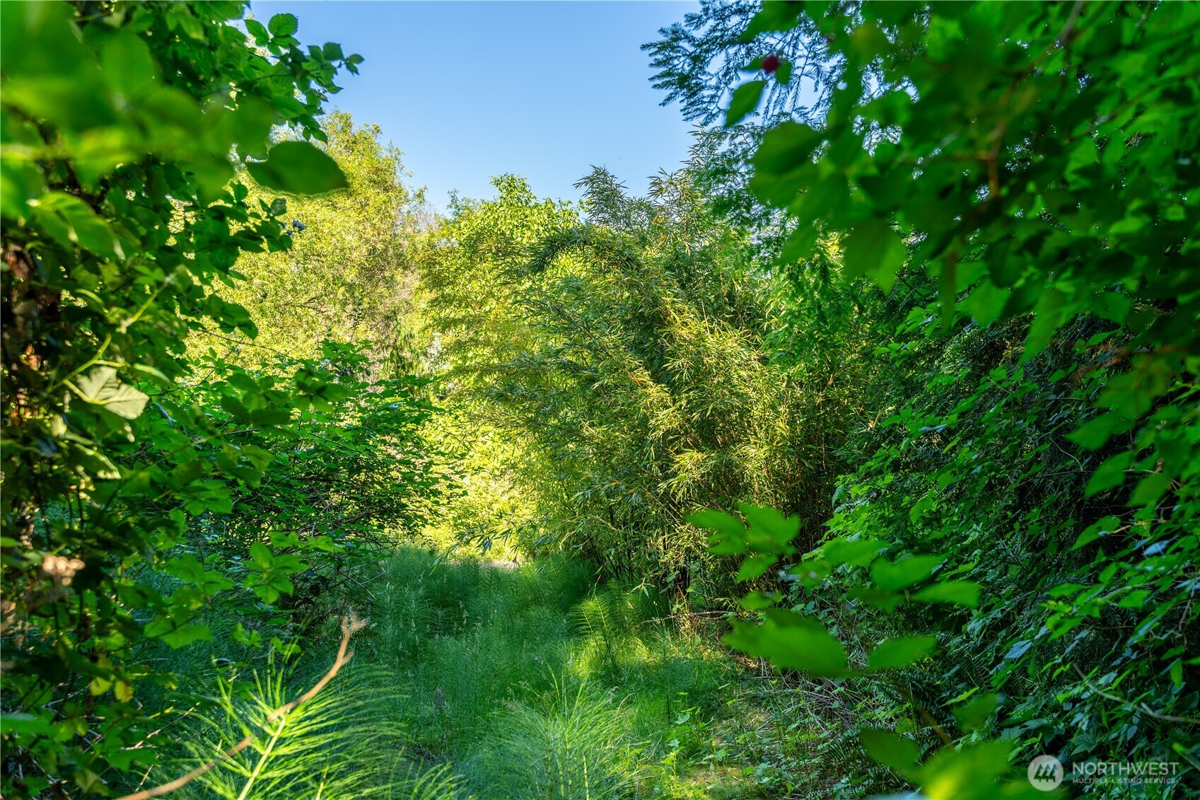 0 Heggeness Road , Clinton, WA 98236